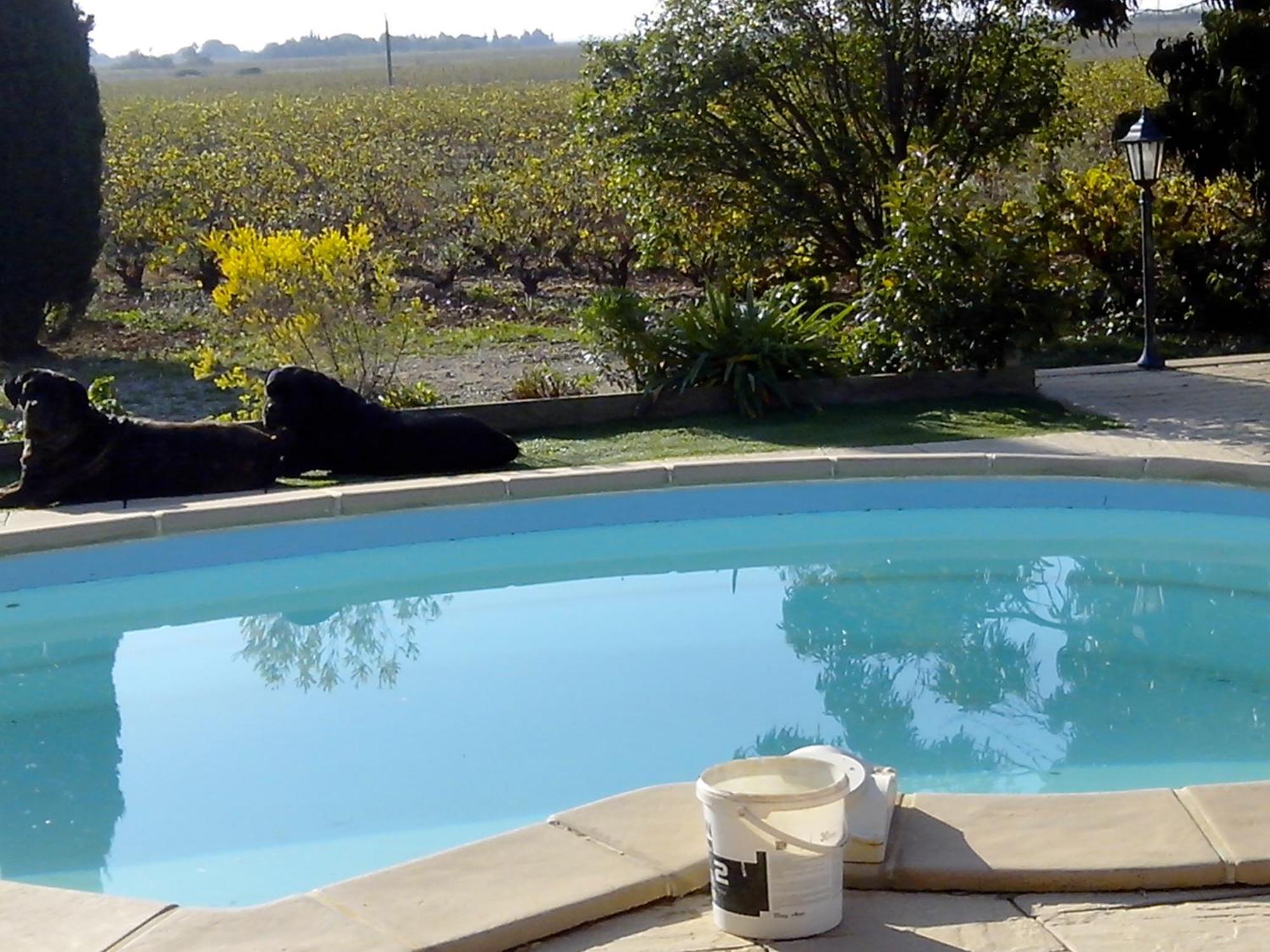 Bed and Breakfast Mas Soleil Et Vignes Saint-Hippolyte  Exterior foto